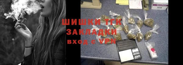 гидра Горняк