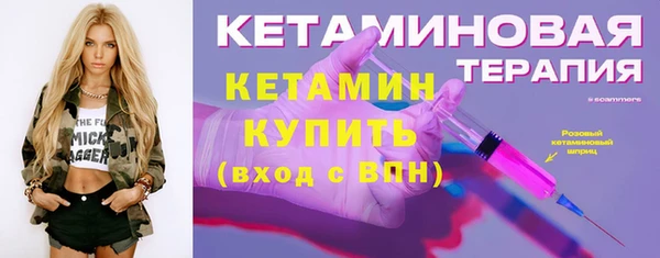 гидра Горняк
