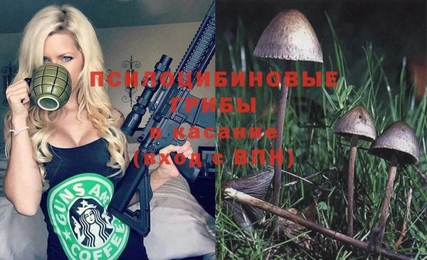 спиды Горнозаводск