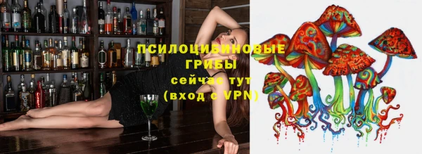 гидра Горняк
