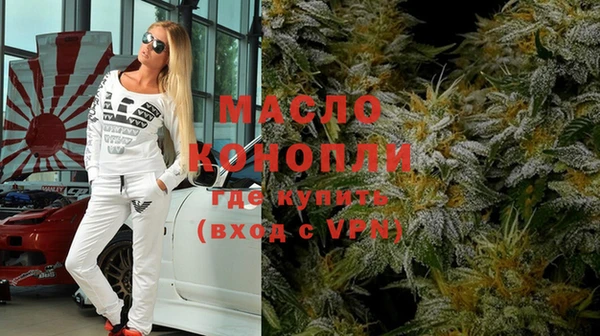 гидра Горняк