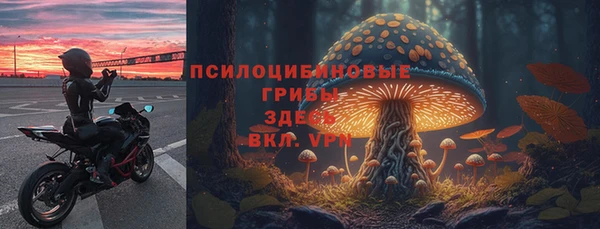 a pvp Гусь-Хрустальный