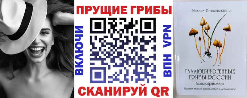 Купить где  Печоры  Псилоцибиновые грибы Psilocybine cubensis 